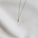 Starfish Necklace